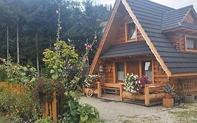 Domki przy studni